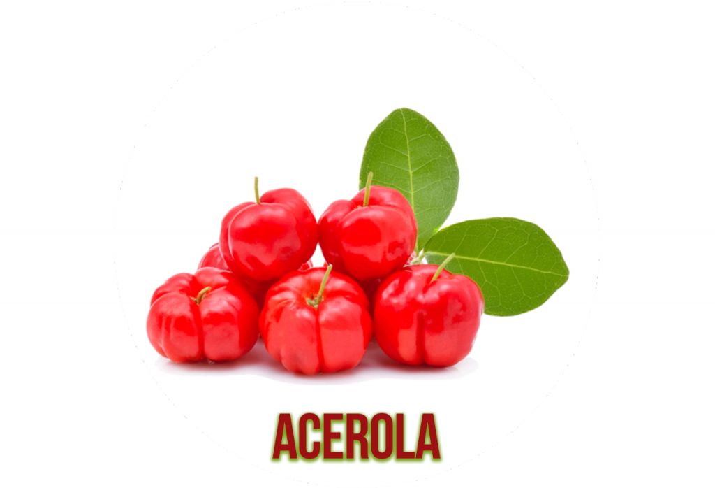 Acerola