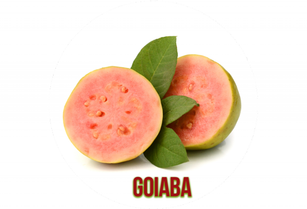 Goiaba