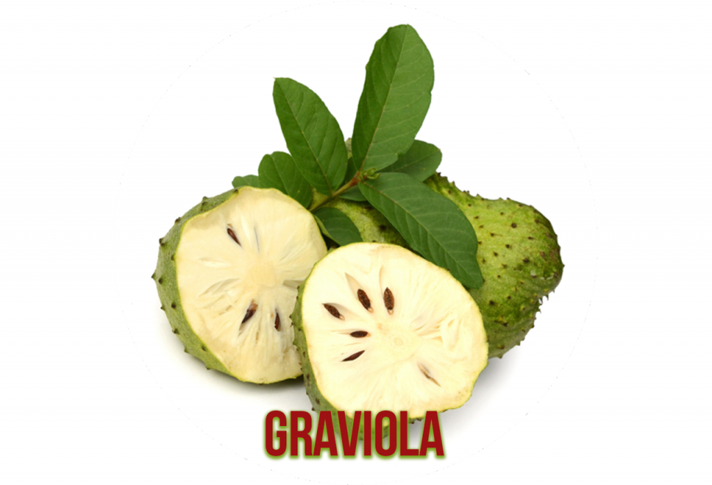 Graviola