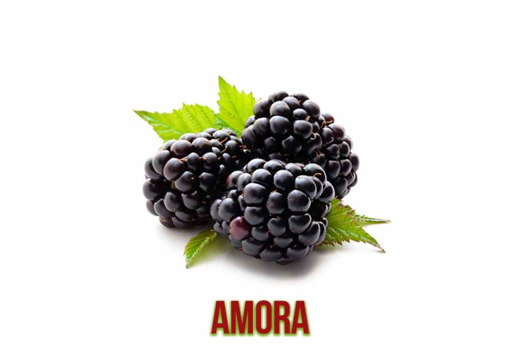 amora